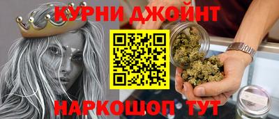 сатива Гудермес