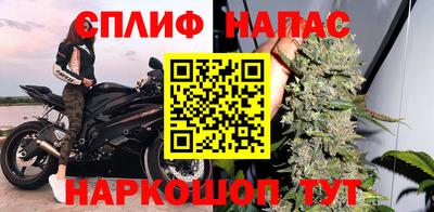 сатива Гудермес